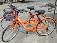 spin34