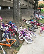 bikedrive2018a