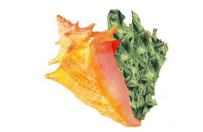 shell