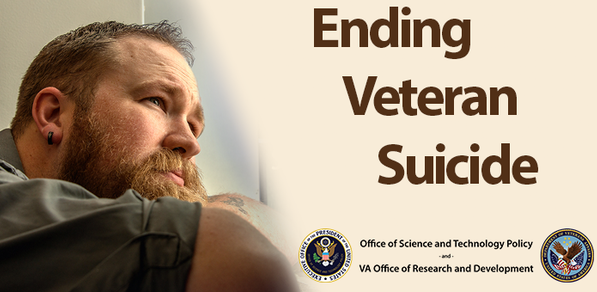 Ending Veteran Suicide