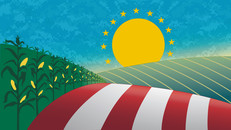 illustration of a farm